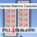 Ajantas Stamina Capsules 27